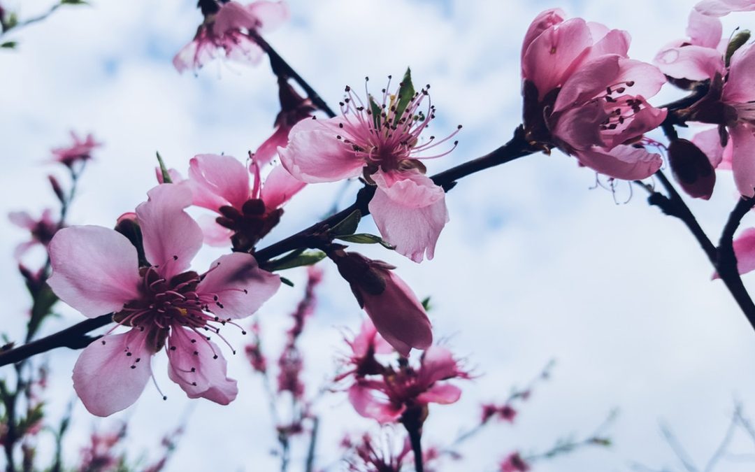 Touching on Scent Marketing